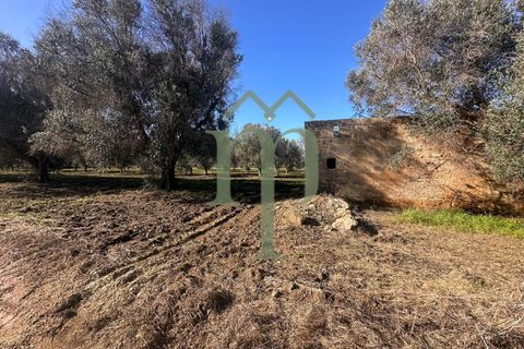 Ruinere i Brindisi, Brindisi, Brindisi - € 68.000 | Ref: Casolare Bern - foto 22